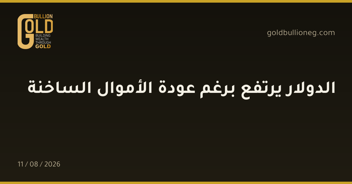 الدولار يرتفع برغم عودة الأموال الساخنةالمصدر : جولد بيليون